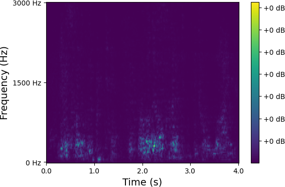 Spectrum 8
